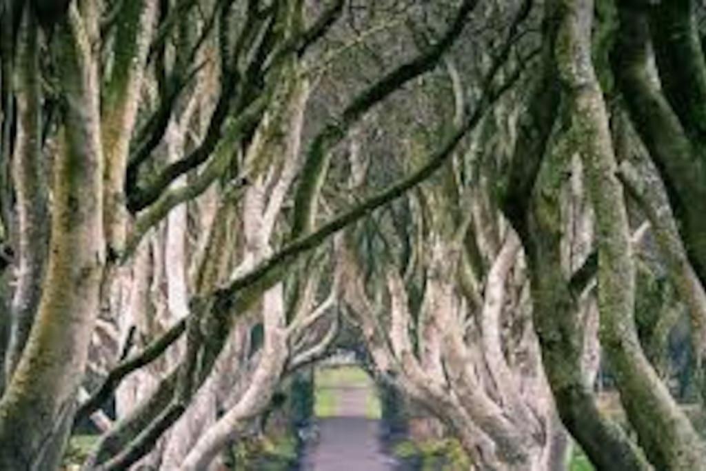 Barn Lane @ Drumagosker Rural Retreats Ardmore Bagian luar foto