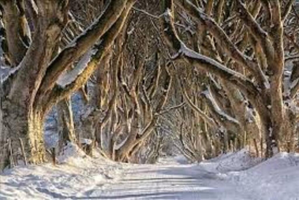 Barn Lane @ Drumagosker Rural Retreats Ardmore Bagian luar foto