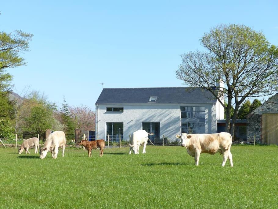 Barn Lane @ Drumagosker Rural Retreats Ardmore Bagian luar foto